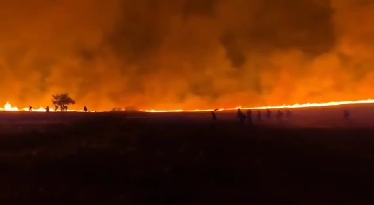آتش‌سوزی گسترده در اطراف قدس همچنان ادامه دارد