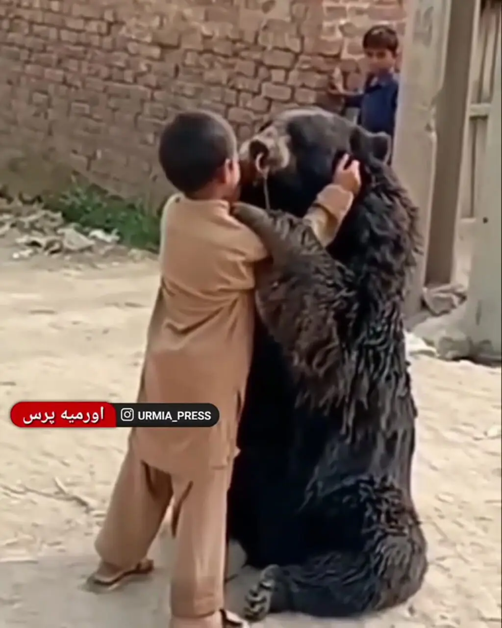تصاویری ببینید از رفاقت عجیب کودک اهل زاهدان با خرس سیاه بلوچی