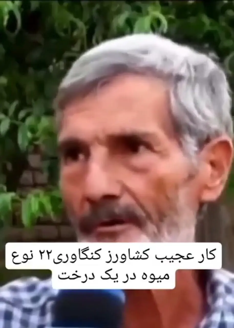 وقتی همه‌ی میوه‌های یه باغ روی یک درخت است!
