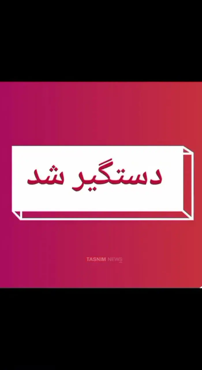 دستگیری یک نفر از اراذل و اوباش به اتهام تحریک جهت حمله به نیروهای امنیتی و نظامی و ایجاد ناامنی در جامعه