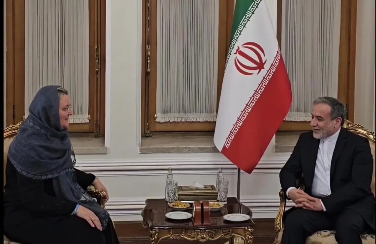 نماینده یونیسف در ایران با «عراقچی» دیدار کرد