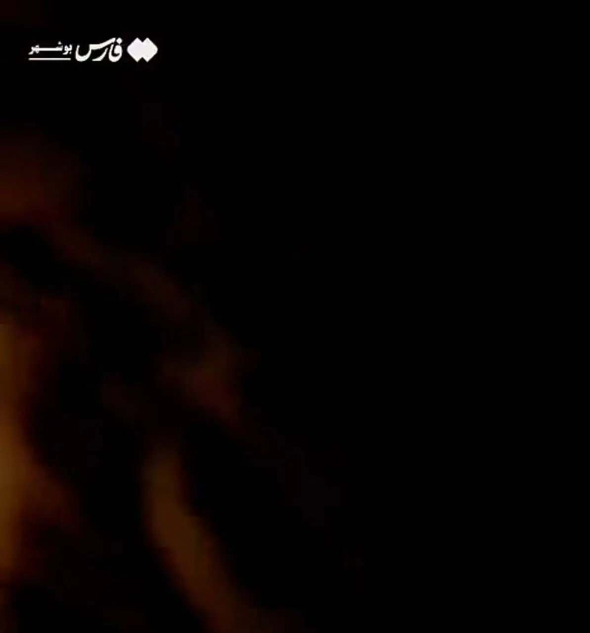 مشاهدۀ پلنگ ایرانی در بوشهر