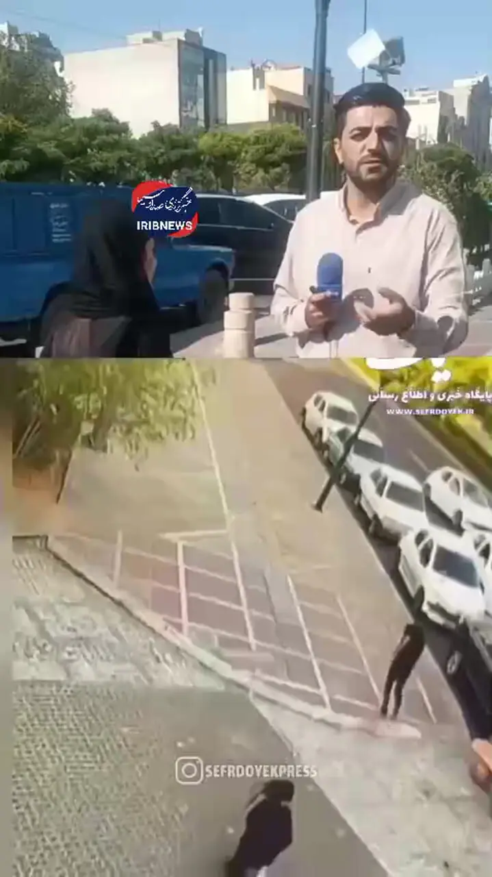 نحوه سرقت تلفن همراه یک خانم در سعادت‌ آباد