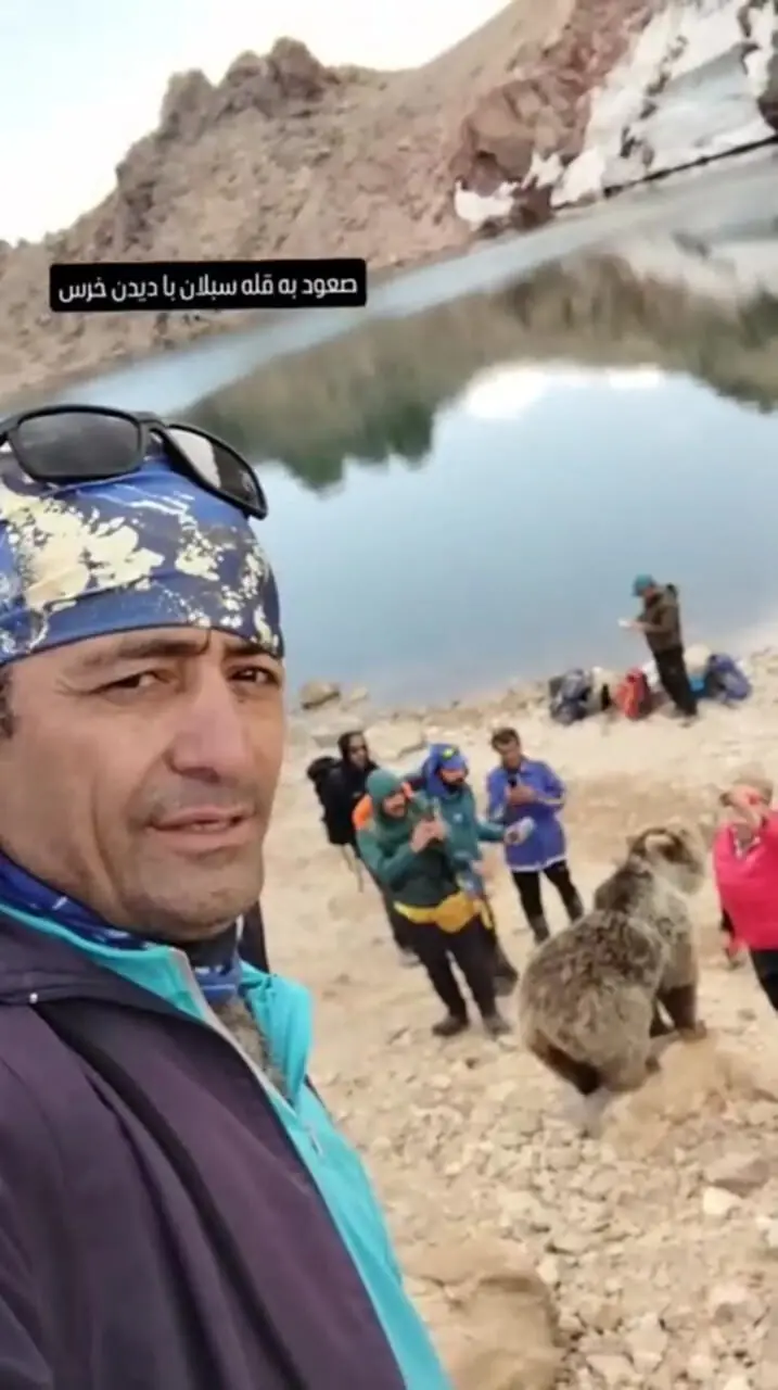 هشدار جدی به کوهنوردان: نزدیک شدن به خرس‌های سبلان خطر آسیب جدی را به دنبال دارد