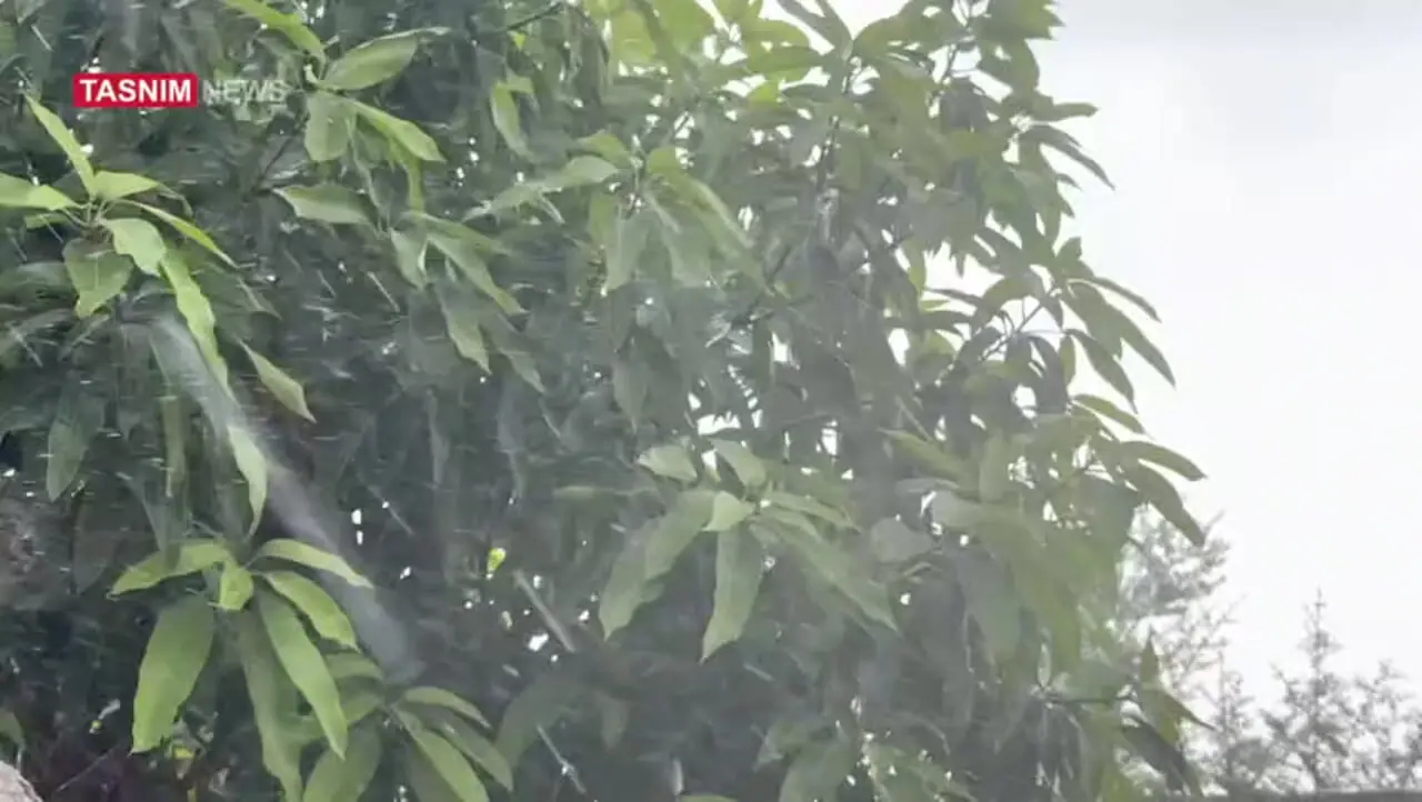 بارش باران مونسون در هرمزگان