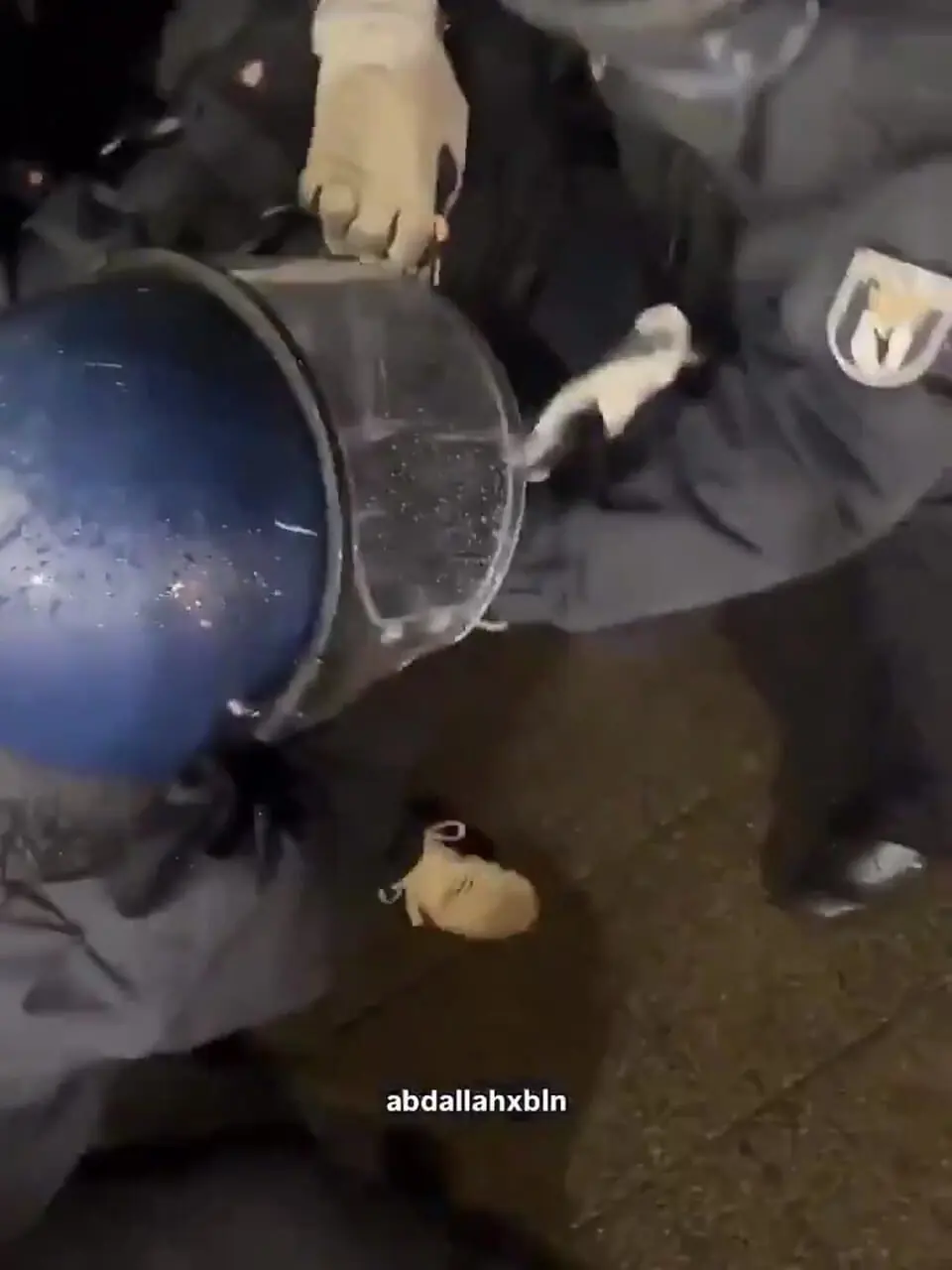 مشت‌های ماموران امنیتی آلمان به سوی بانوان هوادار فلسطین