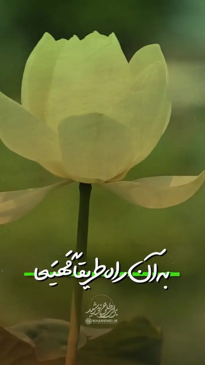 آغاز زندگی حقیقی بشر، با ظهور حضرت حجت (عج)