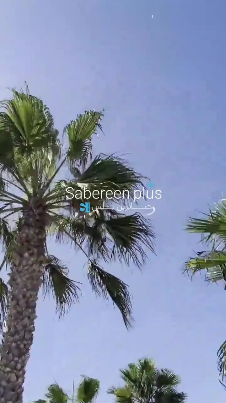 سقوط بالگرد نزدیک لس آنجلس آمریکا