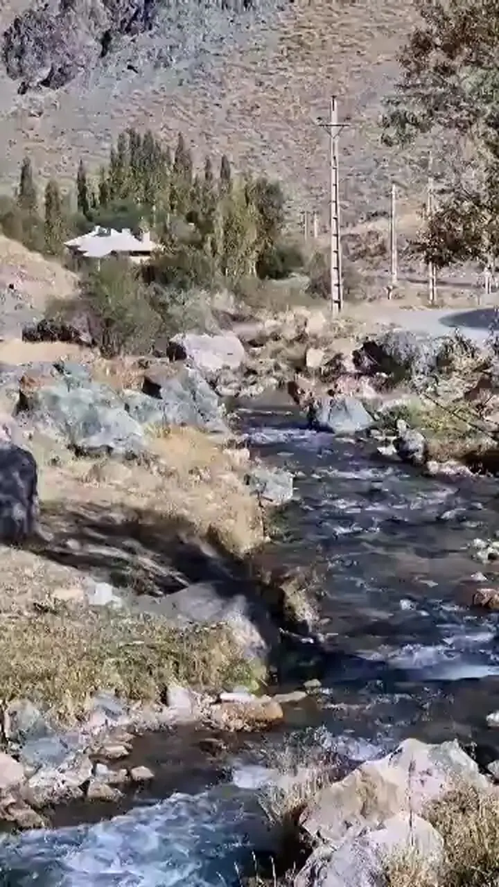 بازیگوشی گله گوزن‌ها در البرز جنوبی