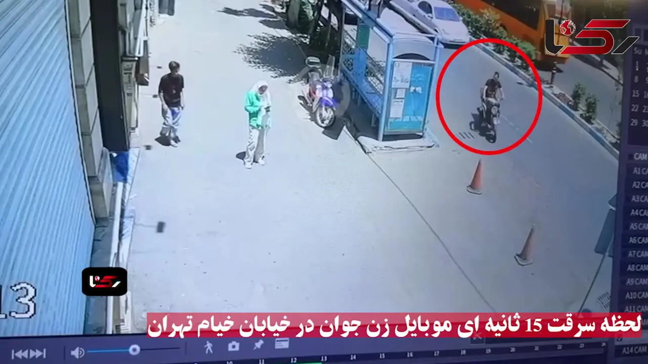 فیلم لحظه سرقت ۱۵ ثانیه ای موبایل زن جوان تهرانی در خیابان خیام / پلیس در حال شناسایی سارقان است