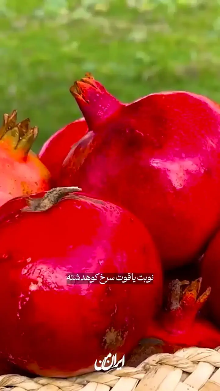 بهترین انار ایران برای کدام شهر است؟