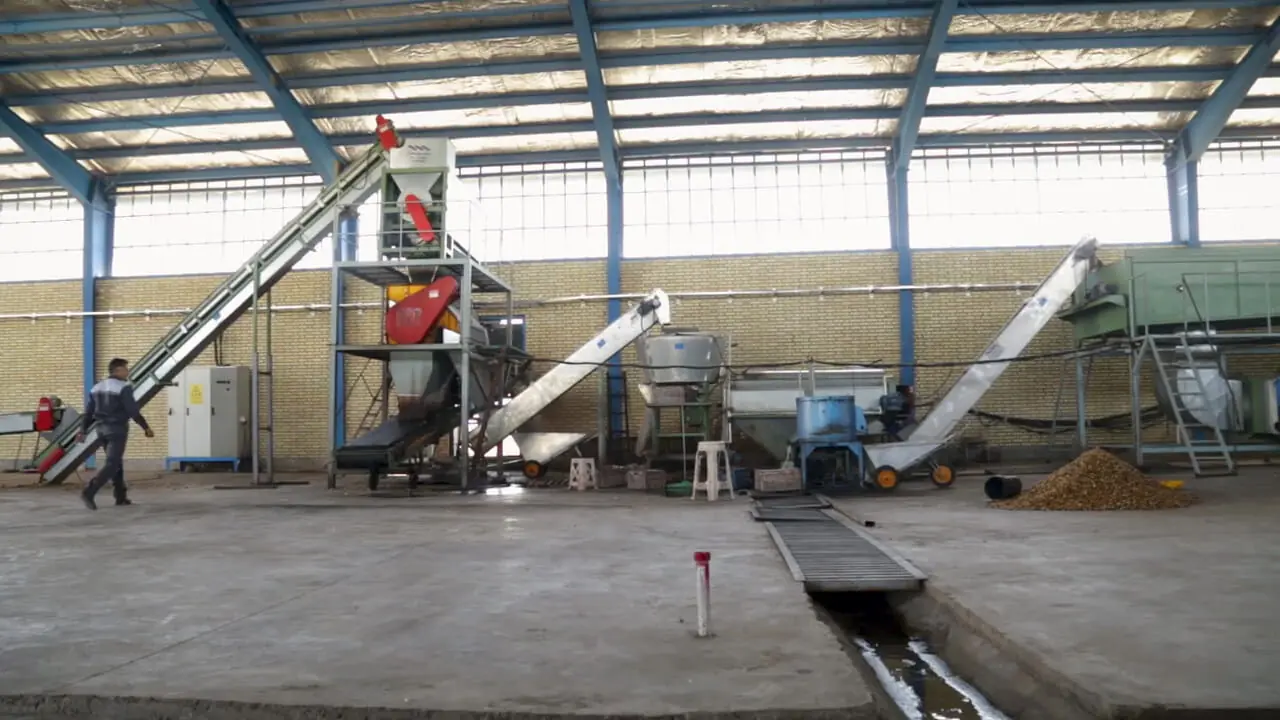 تولید پسته از زمین تا بازار