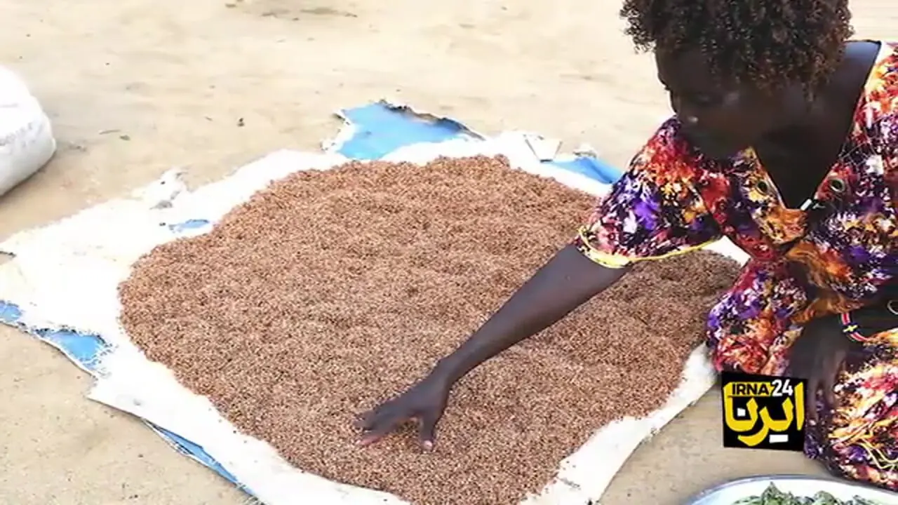 محاصره 177 هزار سودانی در شهری سوخته