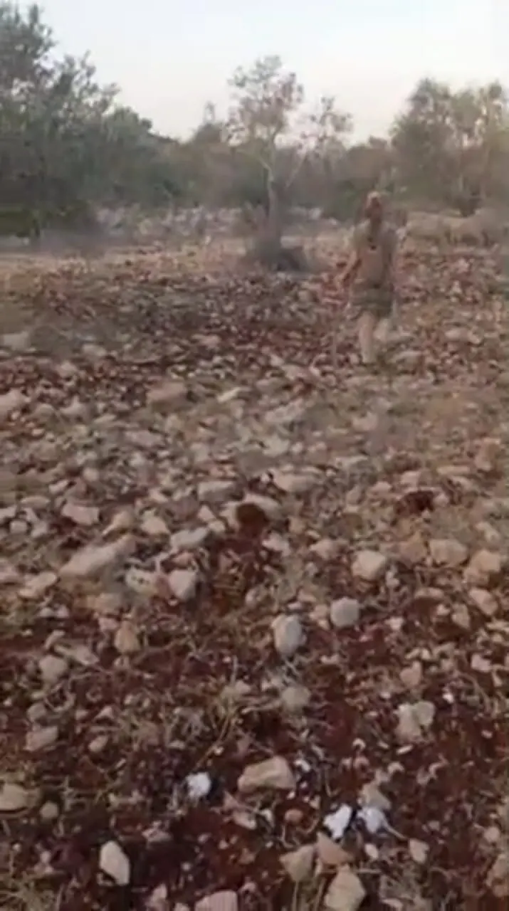 حمله شهرک‌ نشینان به کشاورزان فلسطینی در جنوب غرب جنین