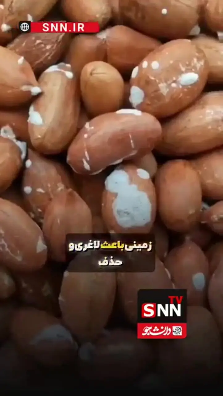 تاثیرات جالب بادام بر روی بدن!