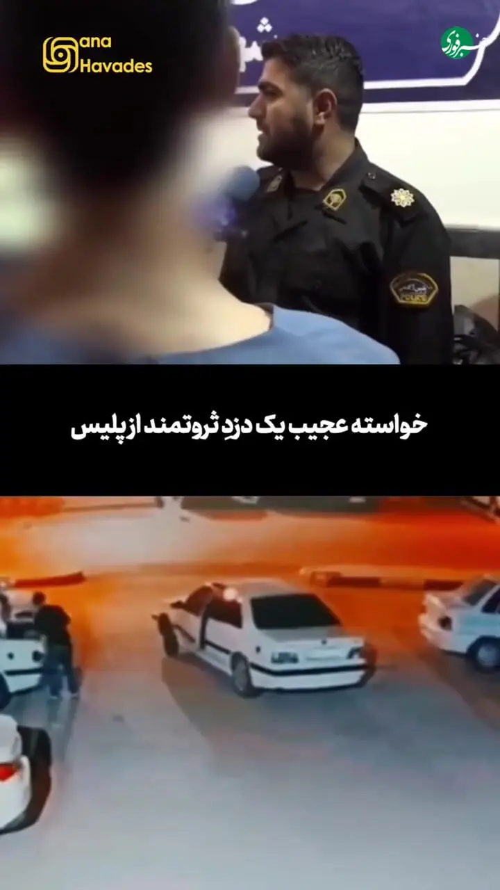 خواسته عجیب یک دزدِ ثروتمند از پلیس!