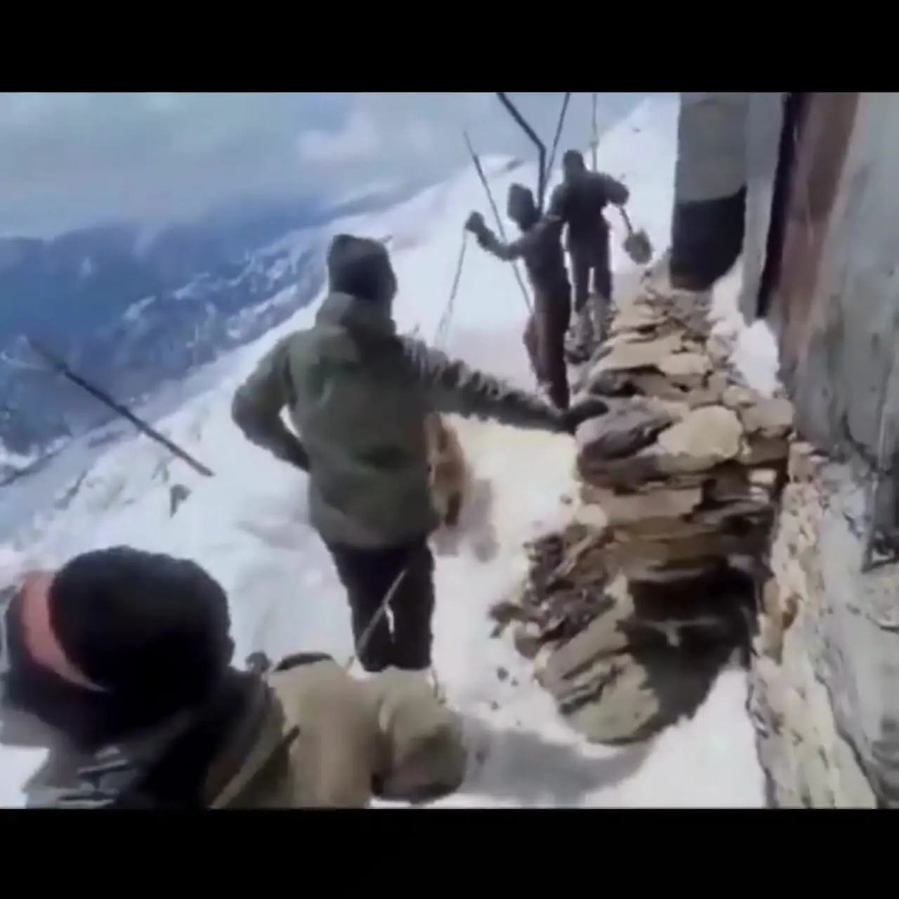 نجات یک خرس توسط ارتش هند