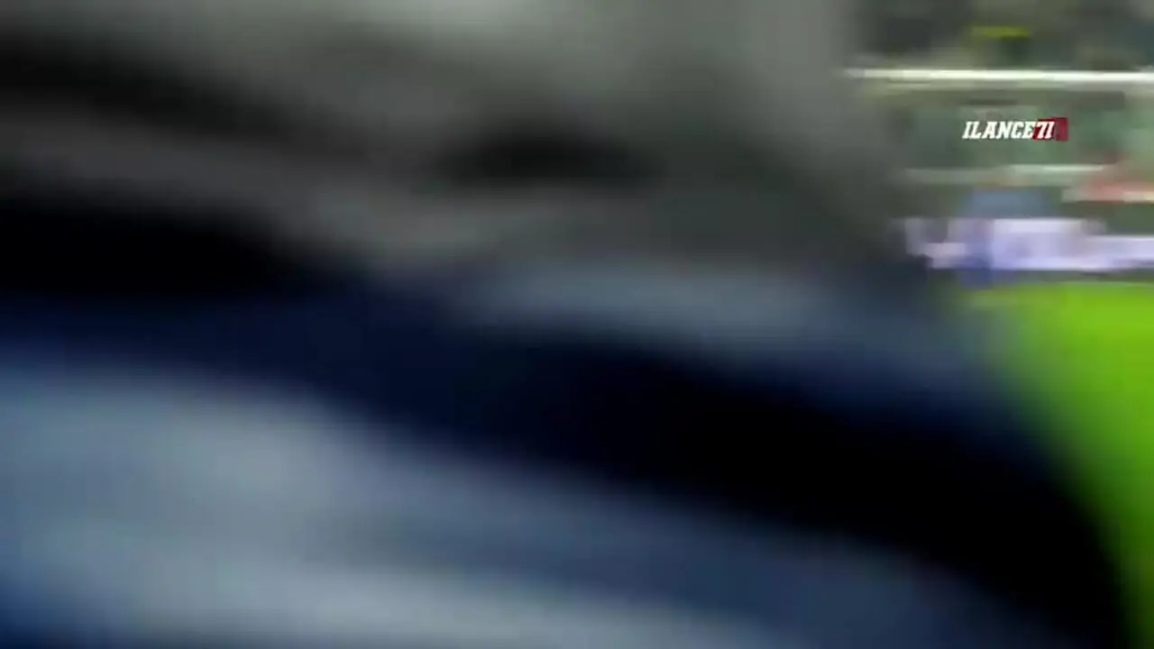 ویدیو: گلهای چرخشی که دنیا را شوکه کردند