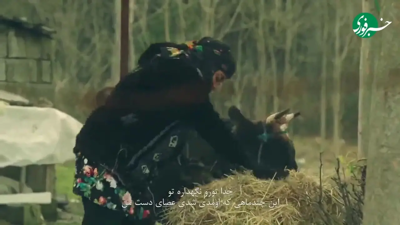 انتشار سکانس‌های حذف‌شده پایانی «یاغی» توسط کارگردان