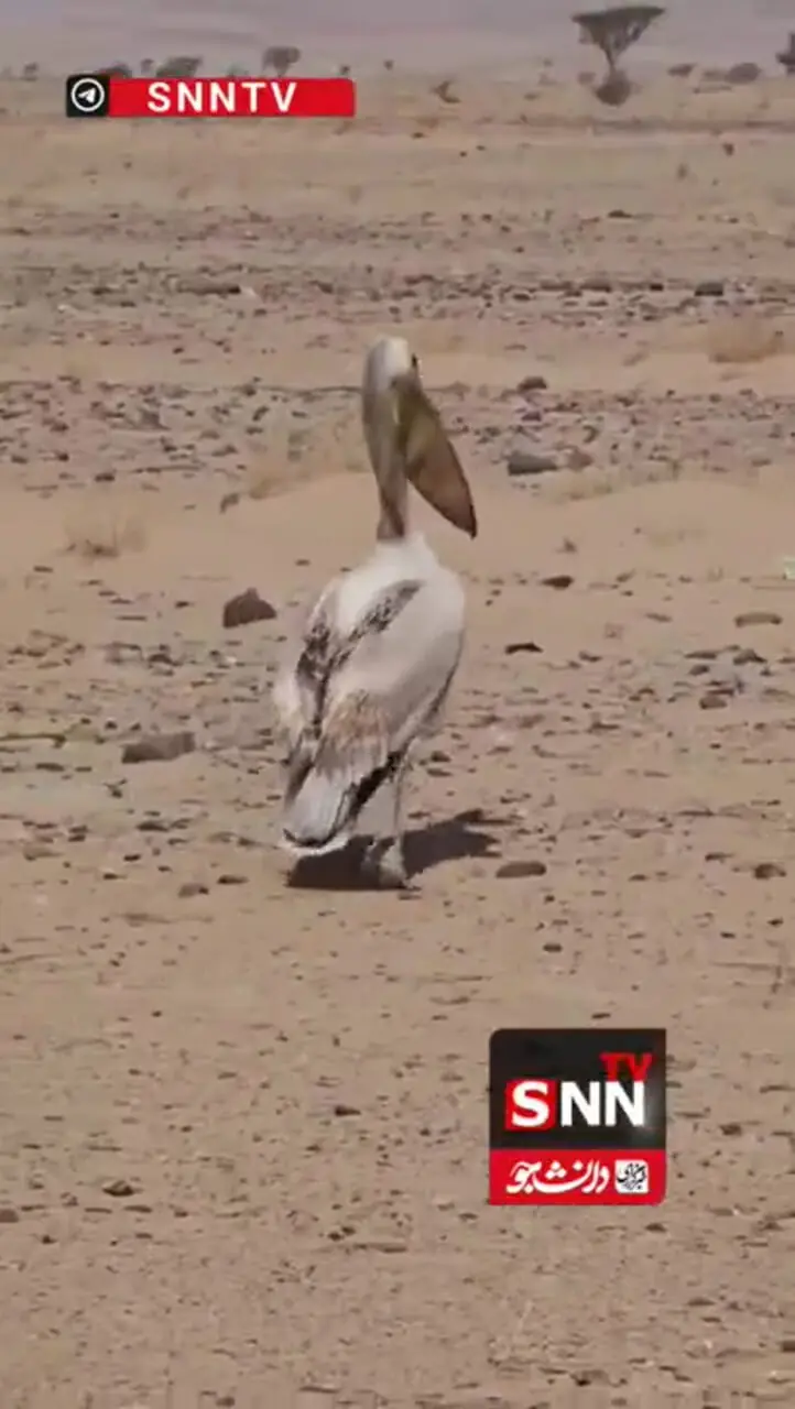 دریاچه ارومیه، نگین خشک‌شده ایران