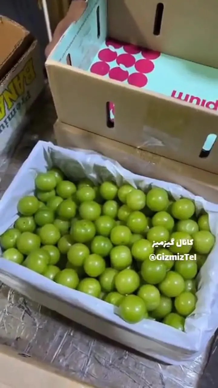 گوجه سبز هر یک دونه ۲۰۰ هزار تومن!!!