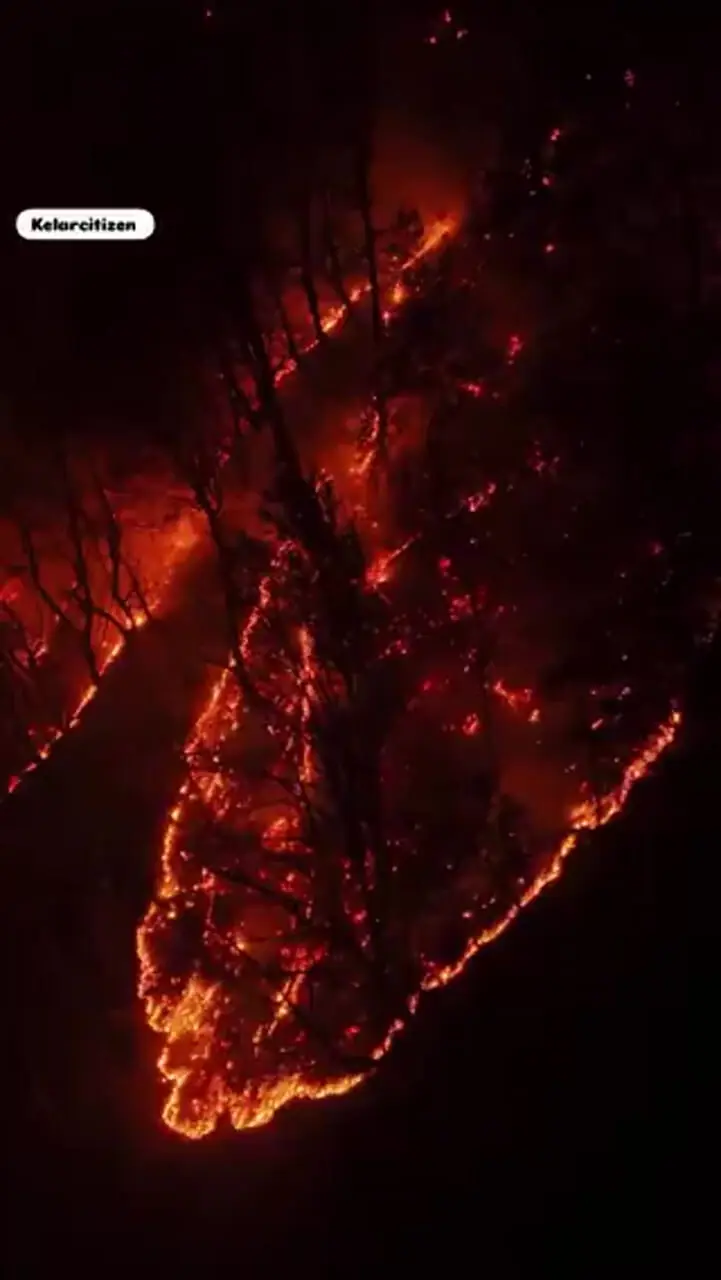 تصاویر وحشتناک از سوختن جنگل هیرکانی