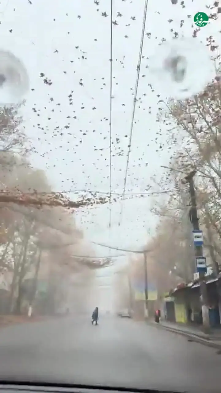 ابتکار اوکراین برای شکار پهپادهای روسی در خیابانها