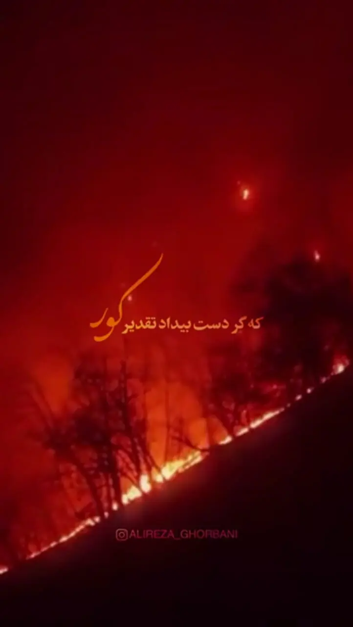 واکنش علیرضا قربانی به سوختن جنگلهای هیرکانی