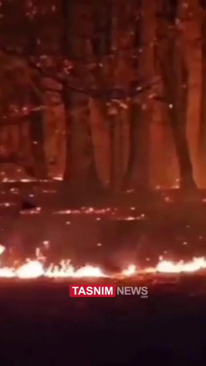 آتش دست بردار جنگل‌های هیرکانی نیست