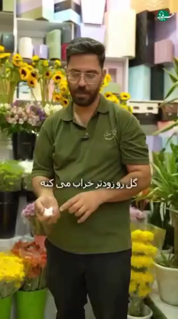 راهکار عجیب برای زنده ماندن بیشتر گلهای طبیعی