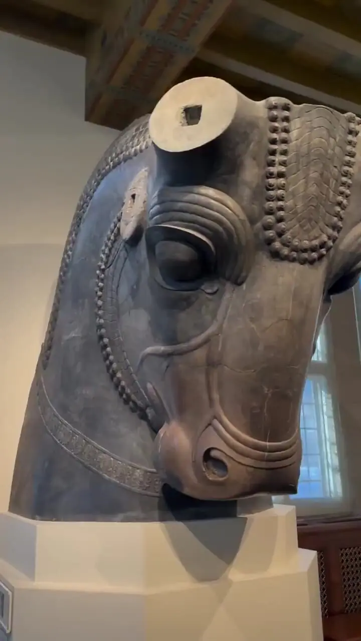 تندیس «سر گاو» تخت جمشید در موزه دانشگاه شیکاگو