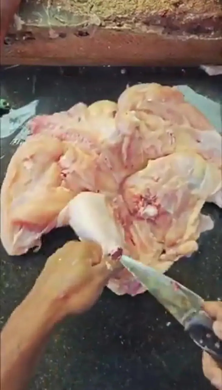 طریقه صحیح برش زدن مرغ کامل