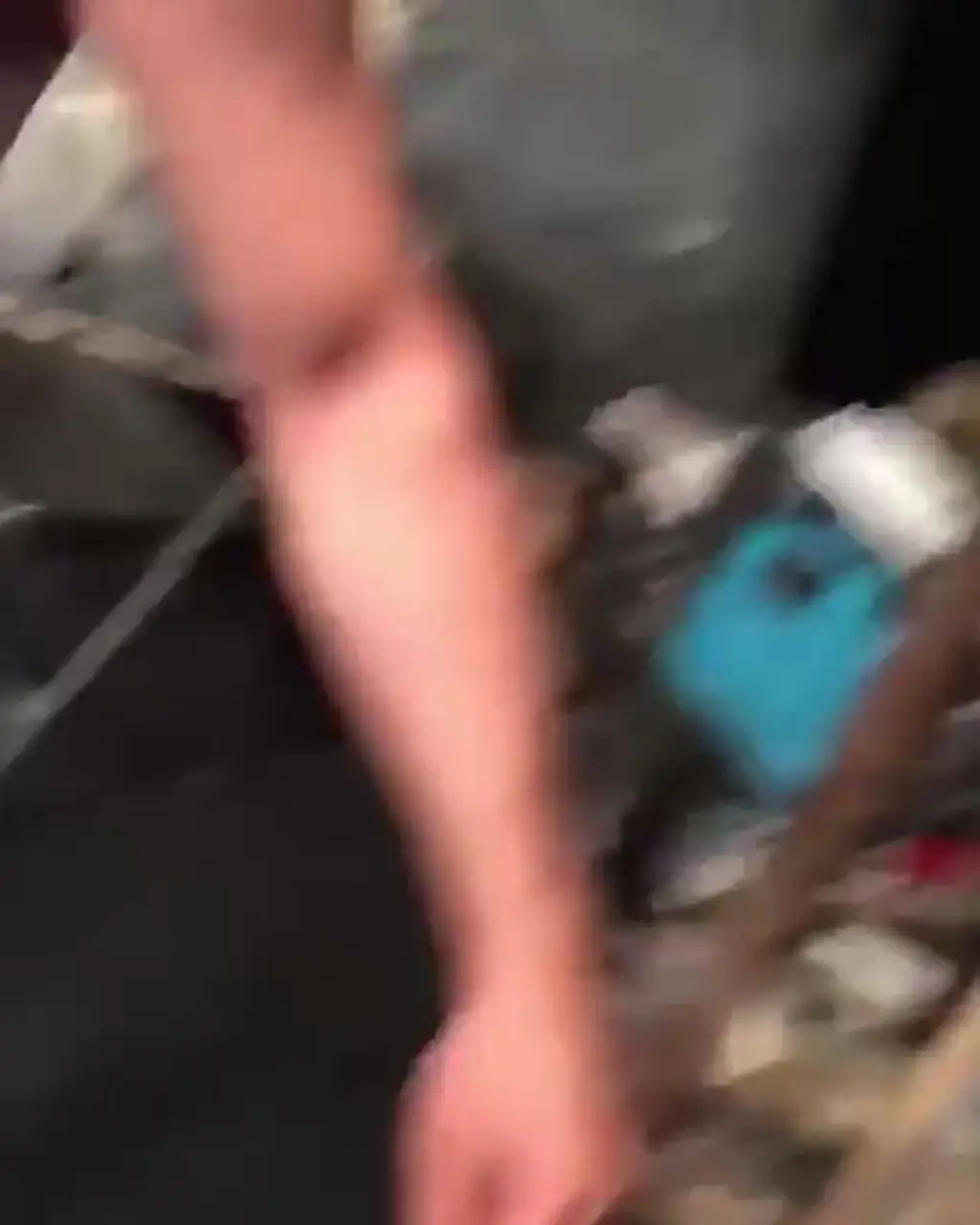 فیلم دستگیری علی شادمان در زهرماری