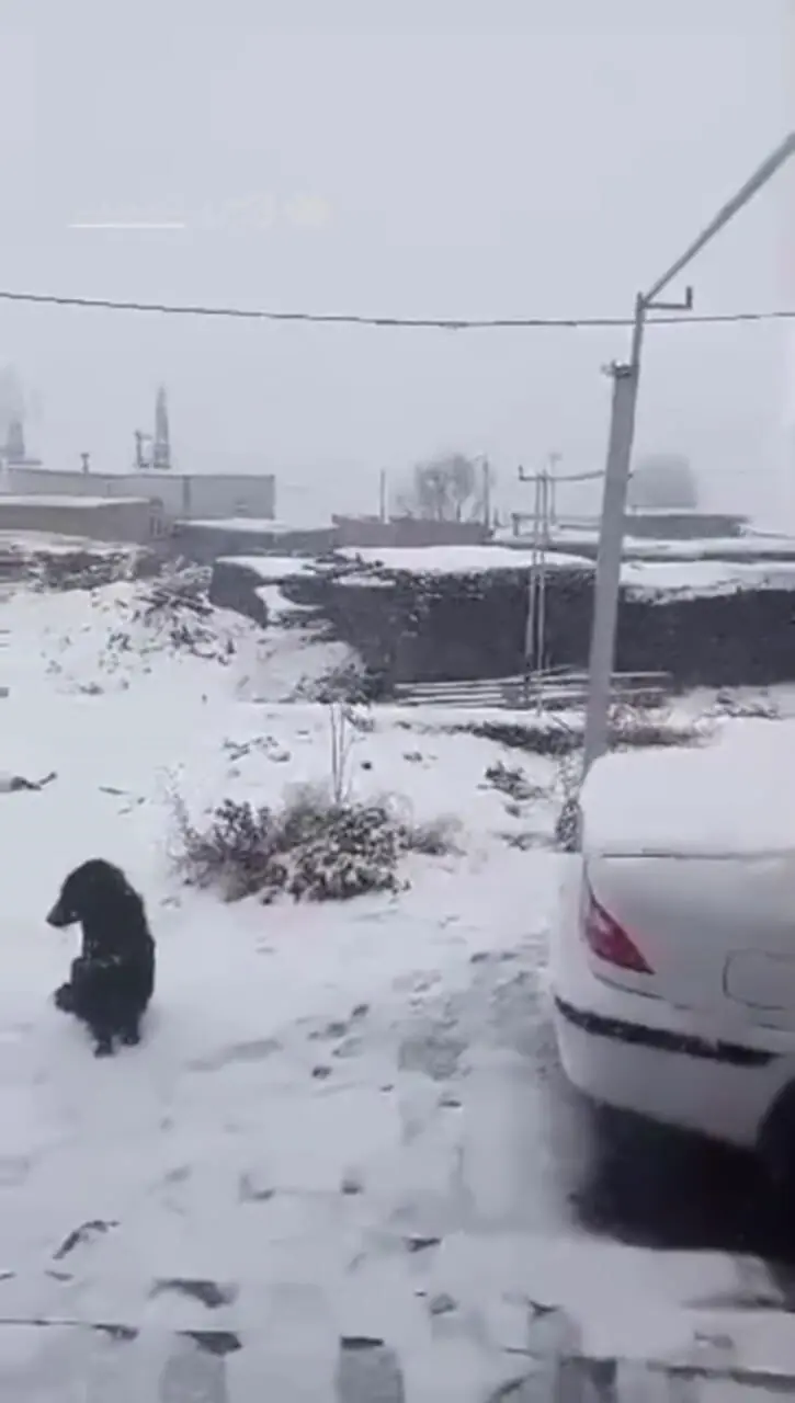 بارش برف پاییزی در آذربایجان‌غربی