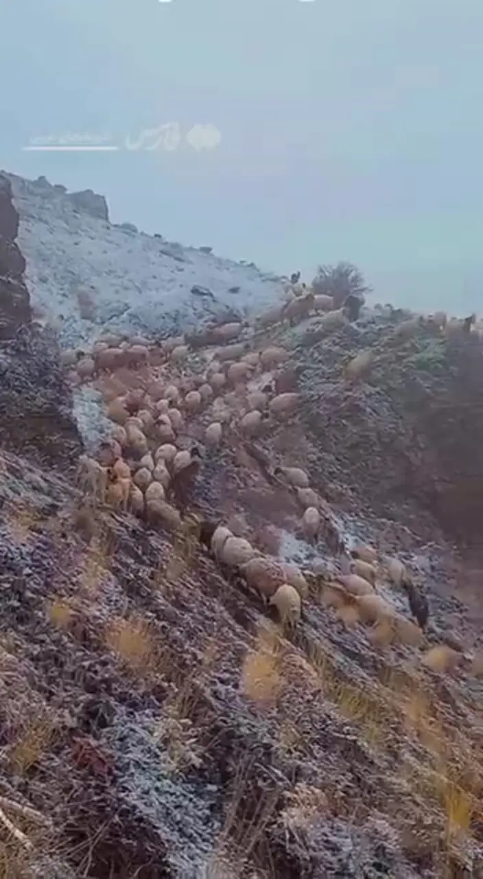 قره درۀ چالدران آذربایجان‌غربی سفیدپوش شد