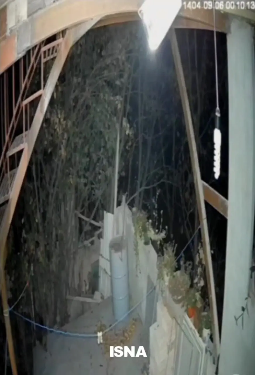 ورود خرس به منزلی مسکونی در سمنان