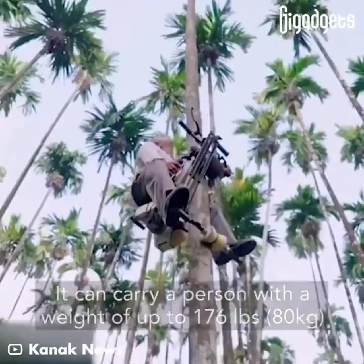 خلاقیت فوق العاده هندی ها در باغداری