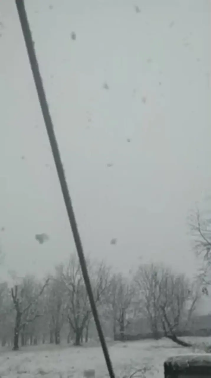 بارش برف در تویسرکان همدان