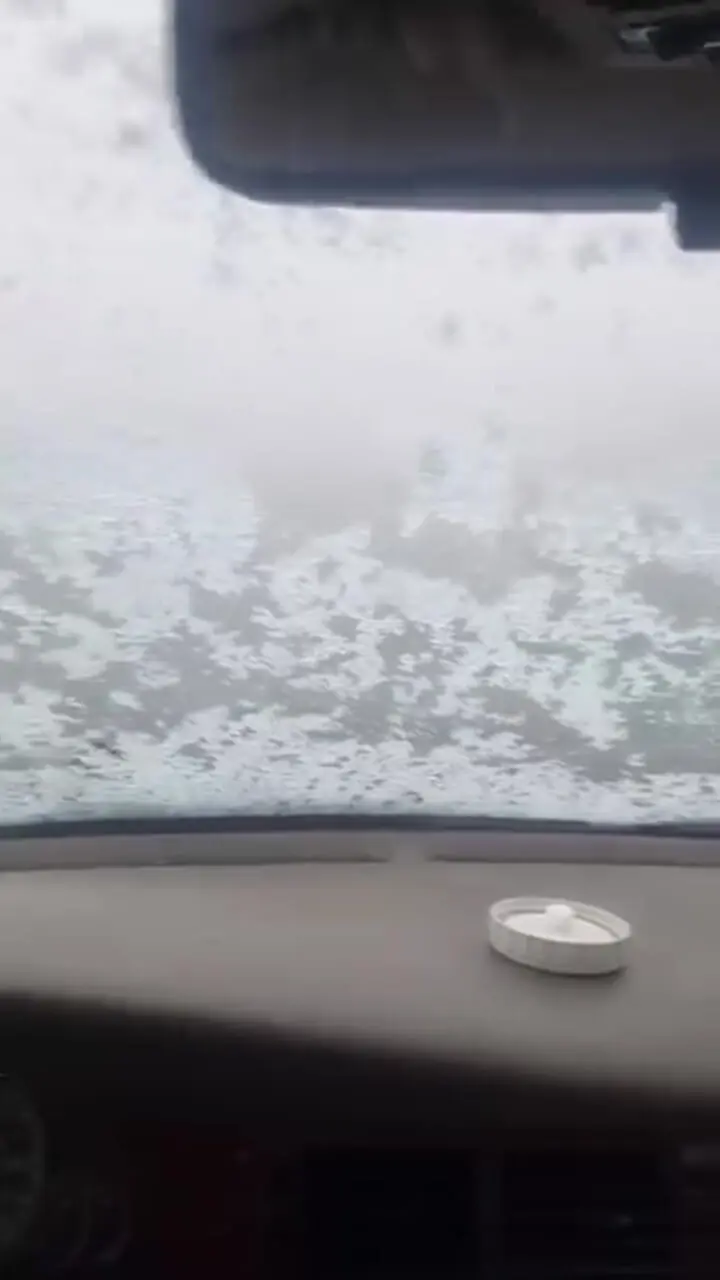 بارش برف گردنه بیدسرخ کنگاور