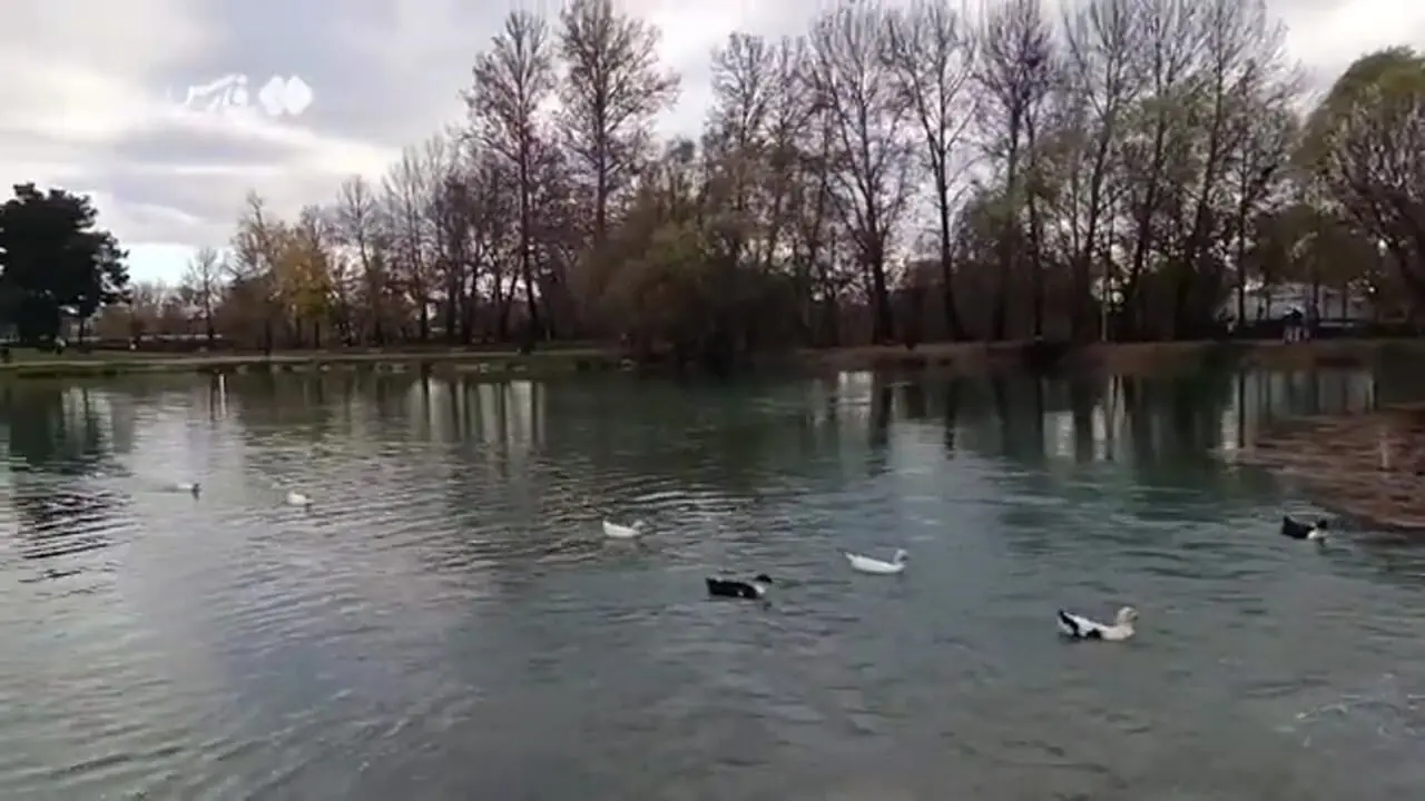 چشمۀ طاق بستان جوشید