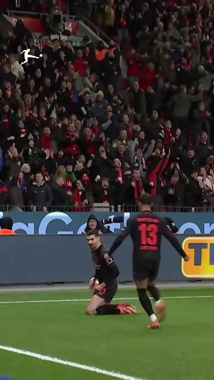 ویدئو: گل عقربی زیبای تریر به کلن