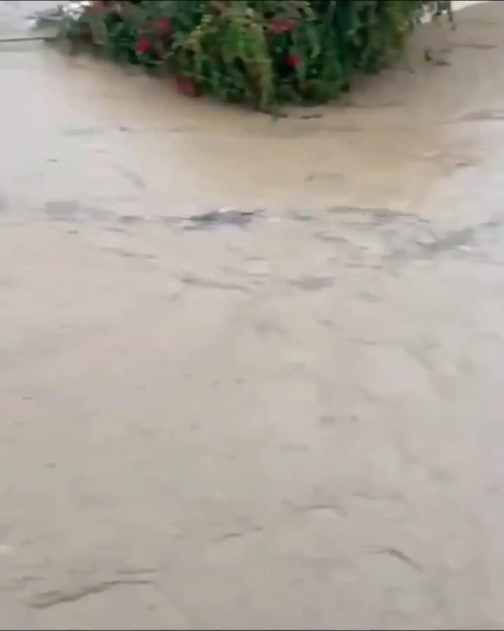 قربانیان سیل شدید در مغرب به 37 نفر افزایش یافت