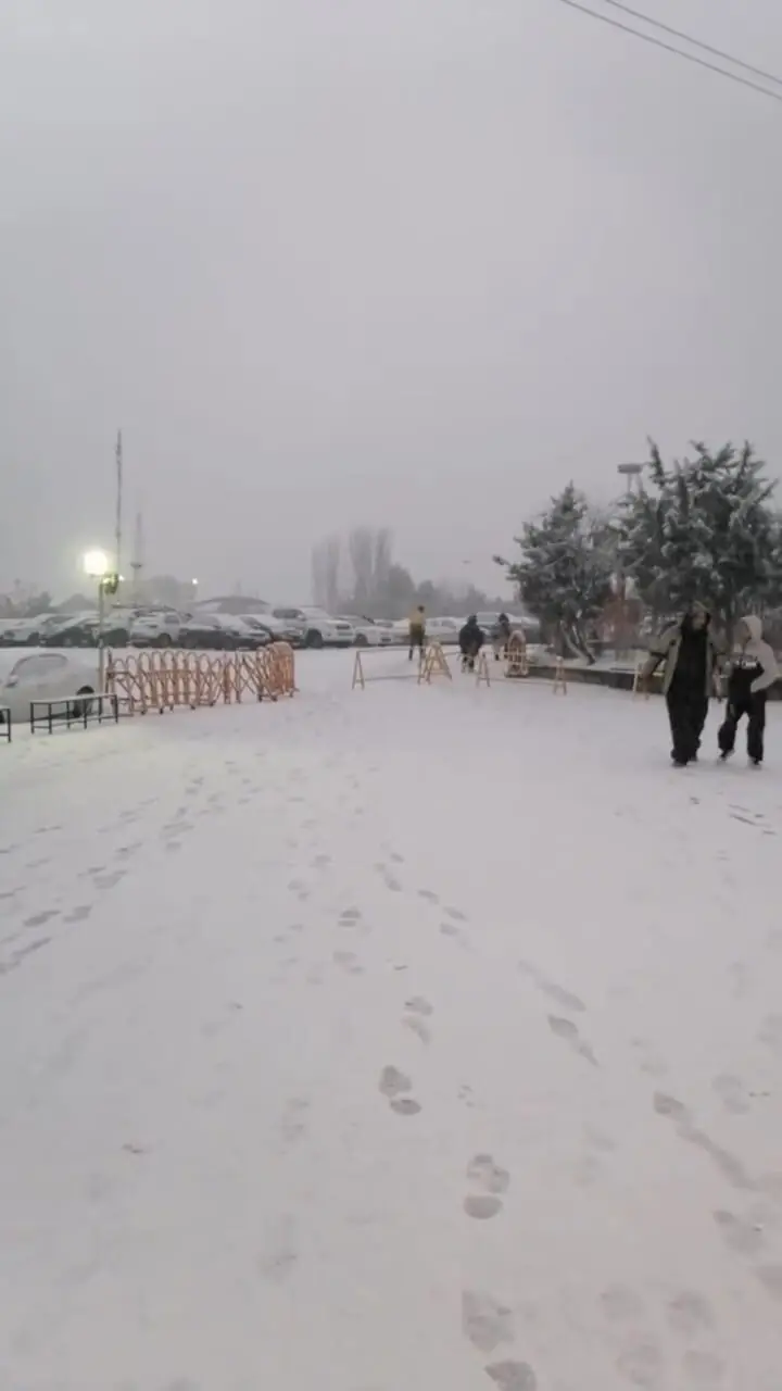 بارش برف صبحگاهی در توچال