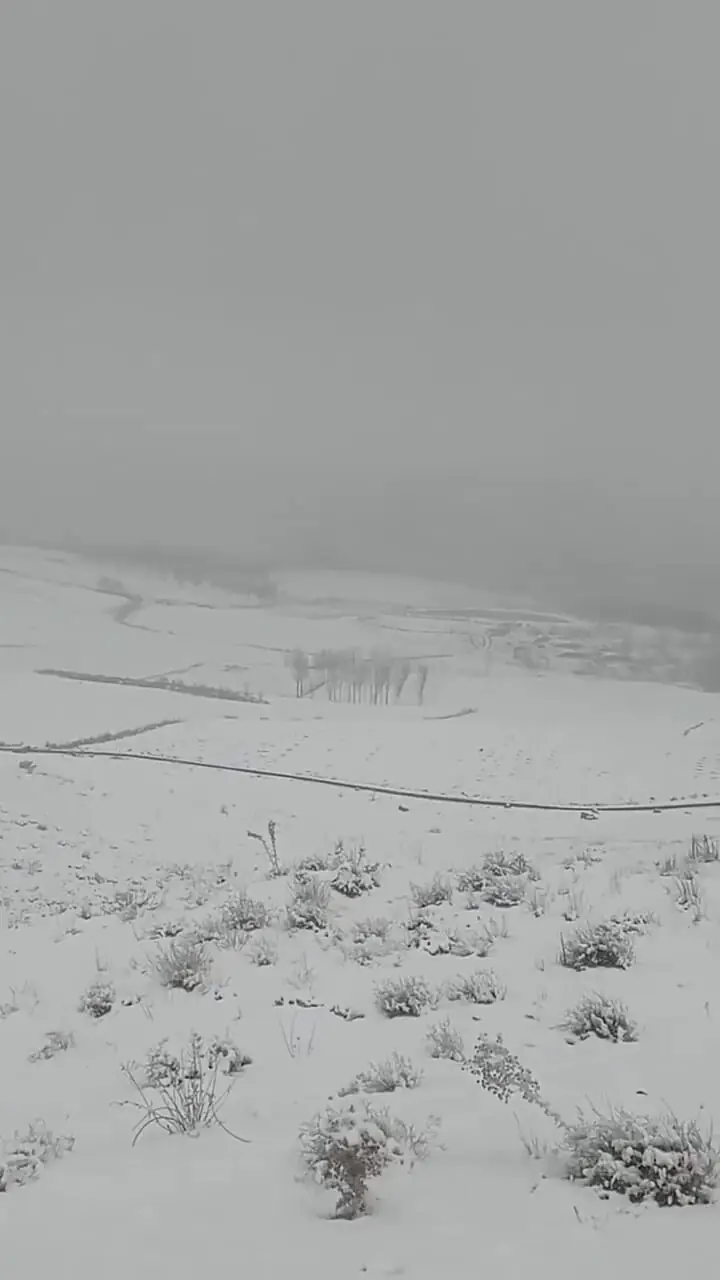 بارش برف در روستای وراینه نهاوند