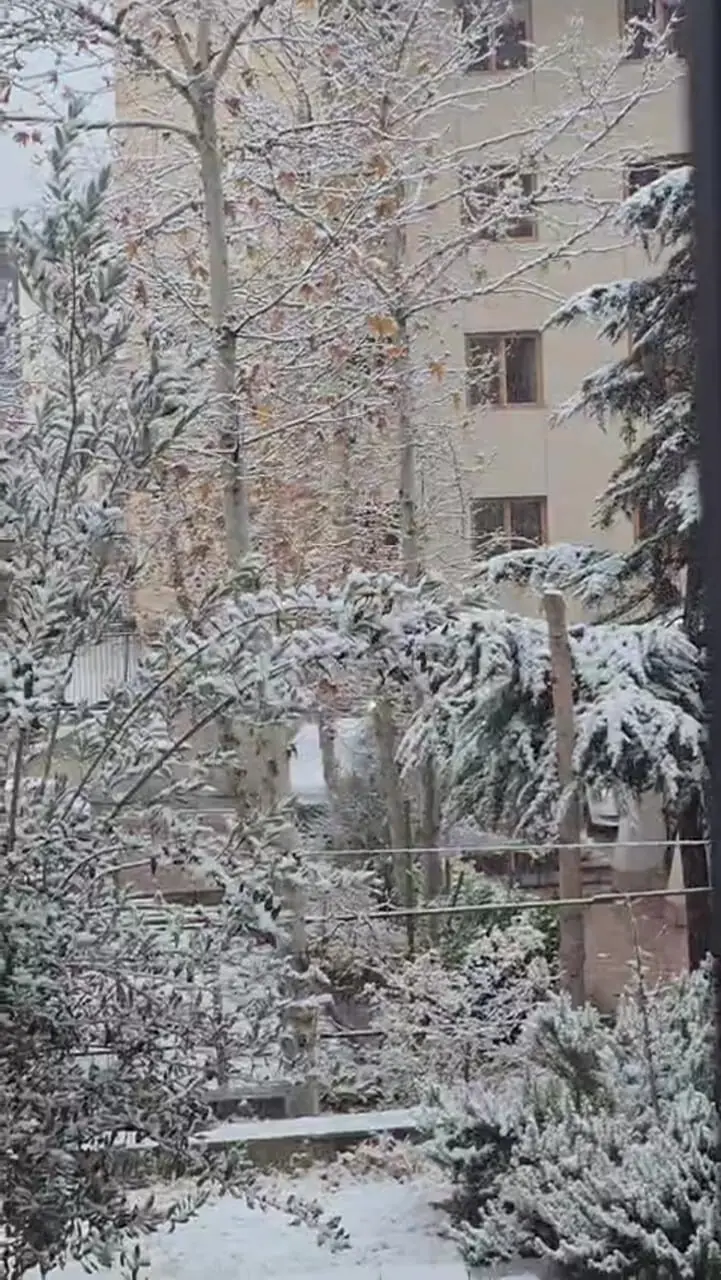 بارش برف در منطقه ولنجک تهران