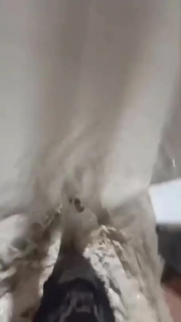 فیلمی از سیل طولا قشم