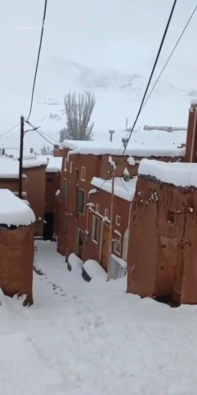 ذوقزدگی دوست داشتنی پیرزن ابیانهای پس از دیدن حجم برف در روستایشان