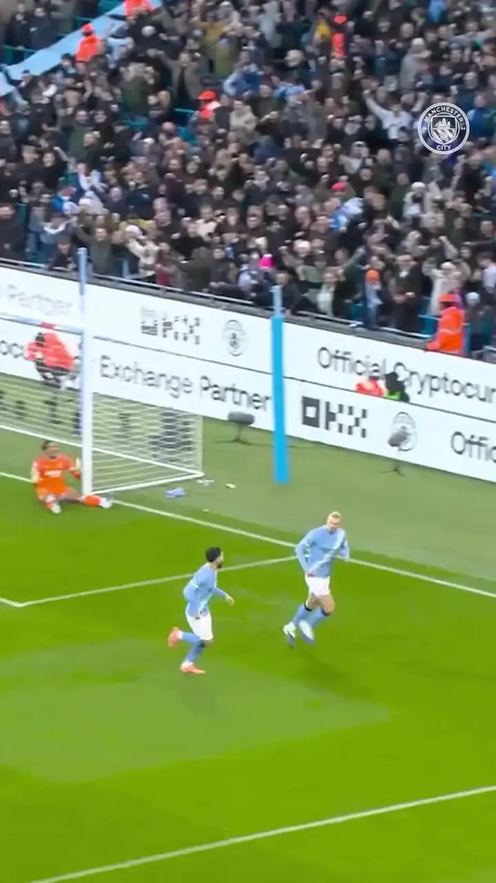 ویدئو: خوشحالی منحصر به فرد هالند