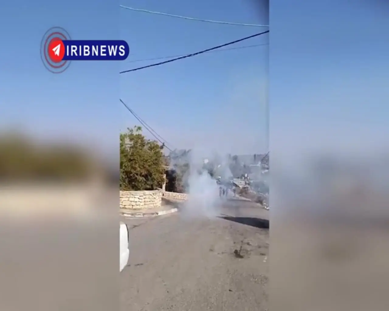 فصل خونین برداشت زیتون در کرانه باختری