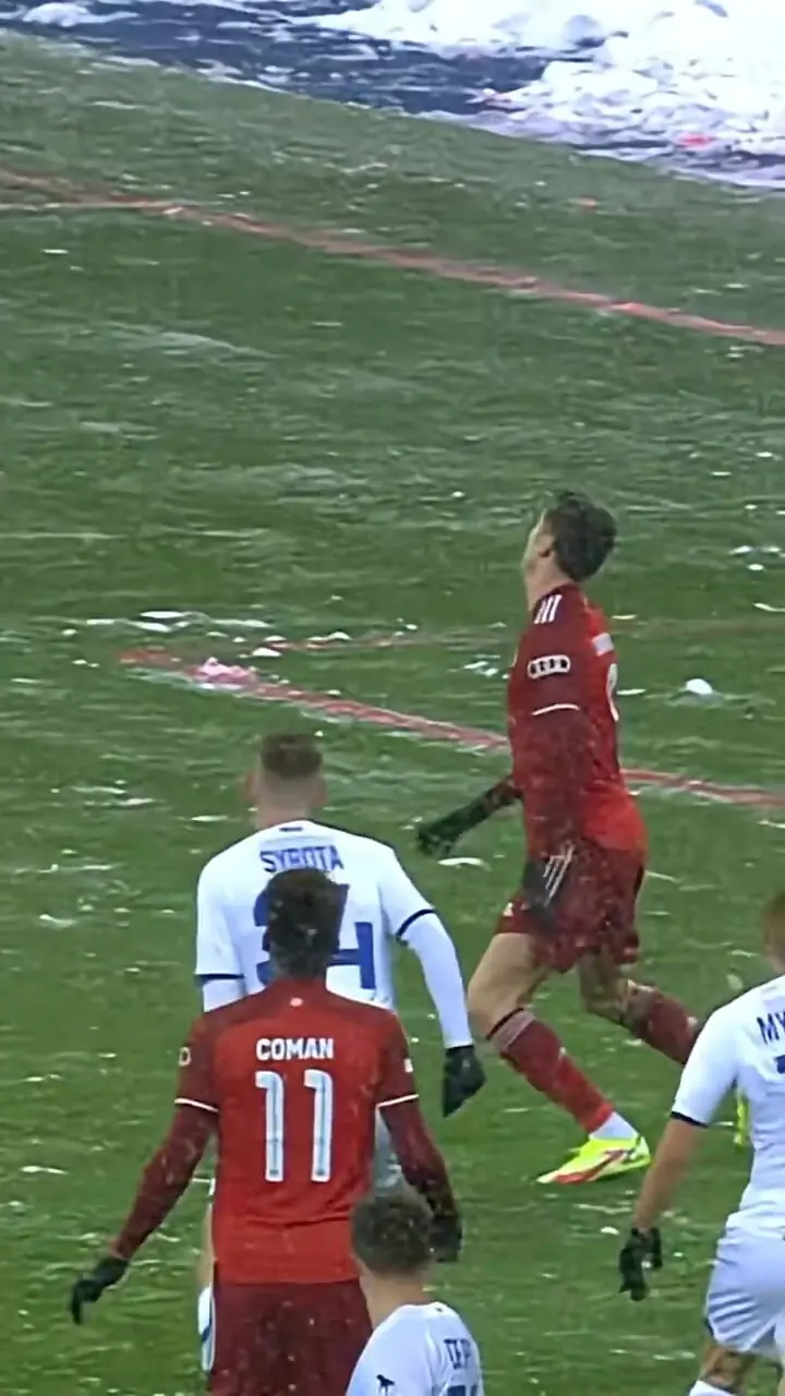 ویدئو: گل قیچی برگردان در هوای برفی